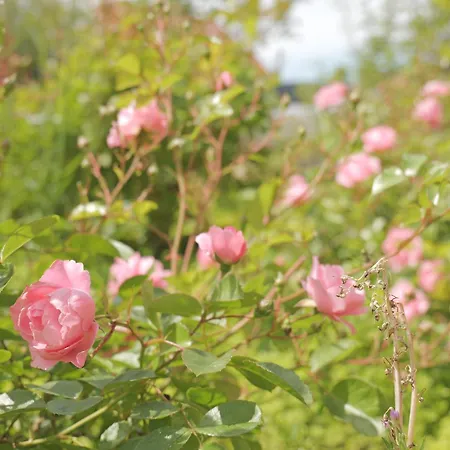 فندق مبيت وإفطار Huset I