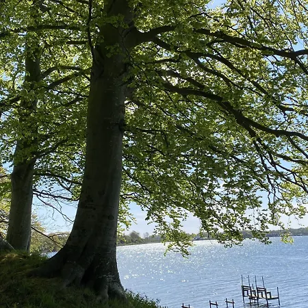Huset I 하일스